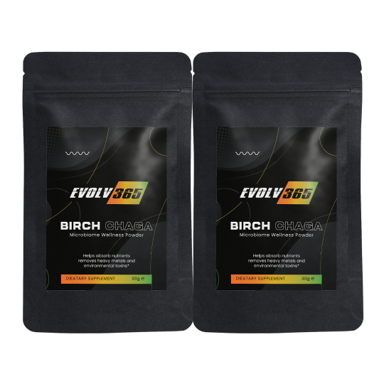 Birch Chaga Microbiome Wellness Powder